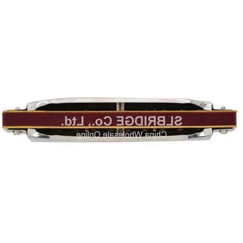 New silver Suzuki 1072 Folk Master Harmonica 10 Ho Blues Key