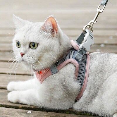 Breathable Cat Harness Leash Escape Proof Pet Clothes vest