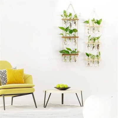 Test Tubes Glass Planter Wall Hanging Terrarium Container Fl