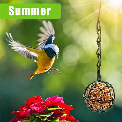 4Pcs Metal Suet Ball Bird Feeder Set with Hanging Chain Squi