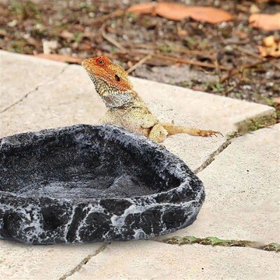 Reptile Feeder Bowl Water Basin Animals Tortoise Habitat