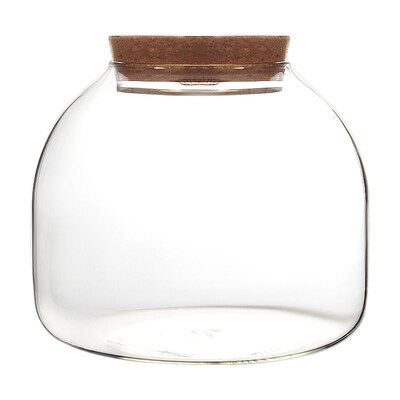 Micro landscape ecological bottle moss plant glass vase hydr
