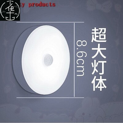 PIR Motion Sensor LED Night Light USB Rechargeable Lamp