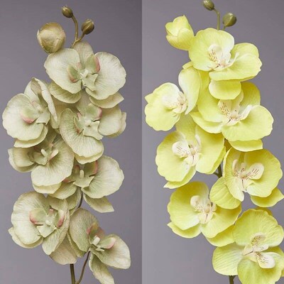 8-Heads Artificial Butterfly Orchid Fake 3D Phalaenopsis Sim