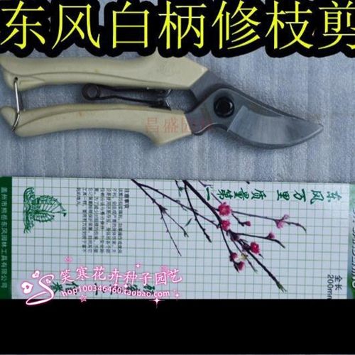辽宁东风熊岳修剪刀花枝剪园林修枝剪园林剪刀锰钢手剪果树剪