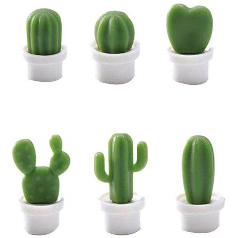 6pcs/Set D Cute Succulent Plant Message Board and Reminder - 实物图