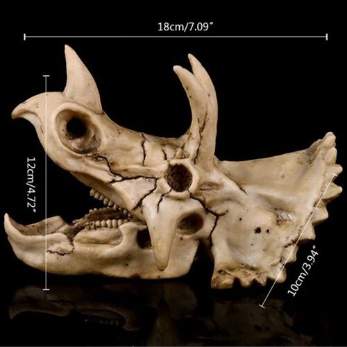 Triceratops Dinosaur Skull Resin Crafts Fossil Skeleton Teac