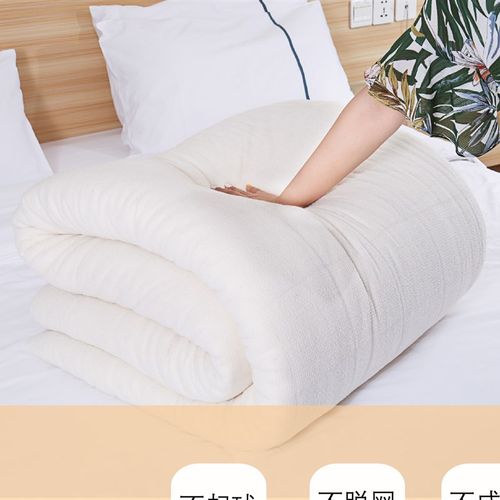 棉絮床垫棉花被冬被加厚保暖芯学生单人被人冬天被手工