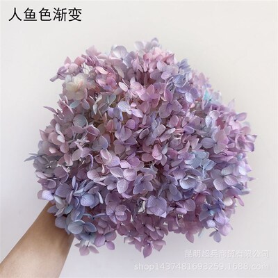 [eternal Flower Hydrangea] Anna Gradient Color Small Leaf Hy