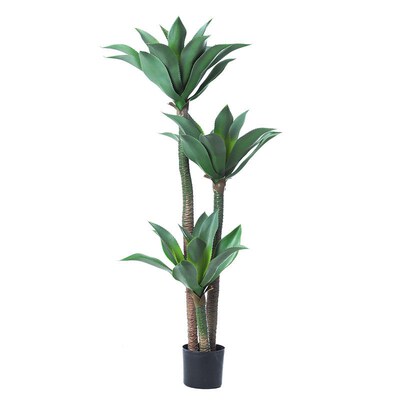 Simulation Green Plant Dutch Iron tee Potted Agave Plant Nor