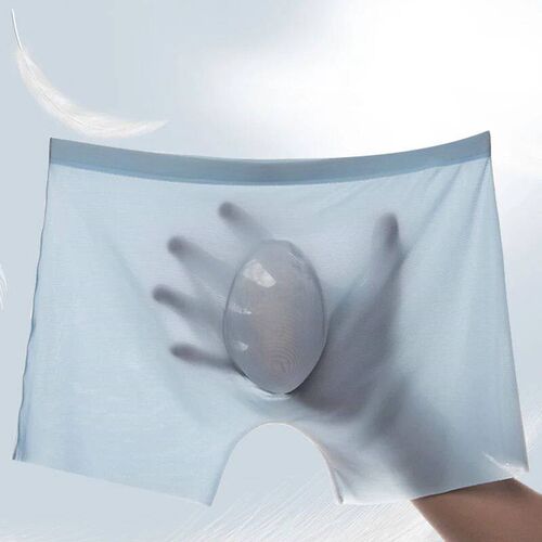 Men Panties Mens Ice Silk Seamless Underwear Solid Color Ult
