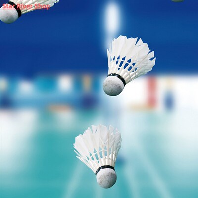 12Pcs Badminton Goose Feather Badminton Shuttlecock Training