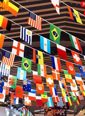 100 Countries Flag Bunting World Flags banner Colored flags