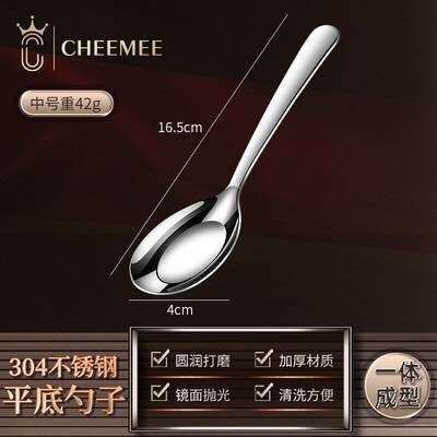 304 Stainless Steel Spoons for Home Use Long Handle Spoons D