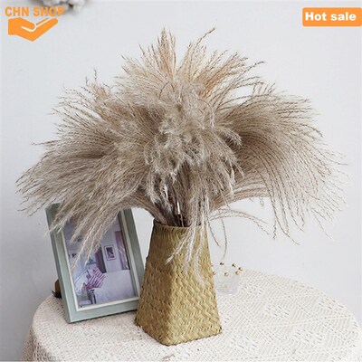 Pampas Grass,Room Wedding decoration,Fluffy Pompas Floral