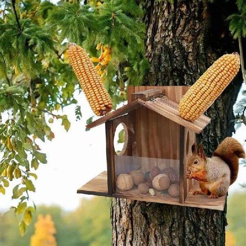 Squirrel Feeding Table Outside Wooden Squirrel Feeder