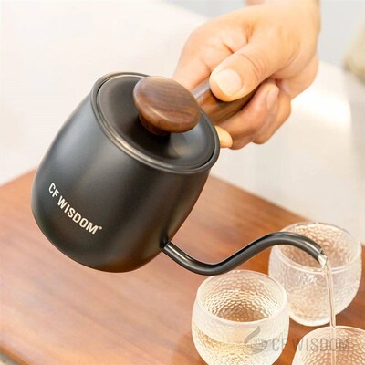 CF WISDOM Small Q 350ml Coffee Kettle - Stainless Steel Goos