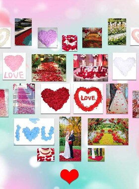 500/1000pcs White Rose Petals Artificial Romantic Silk Rose