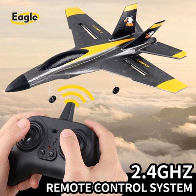 RC Plane Z56 Professional 2.4G Radio Remote Control Airplane