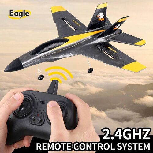 RC Plane Z56 Professional 2.4G Radio Remote Control Airplane