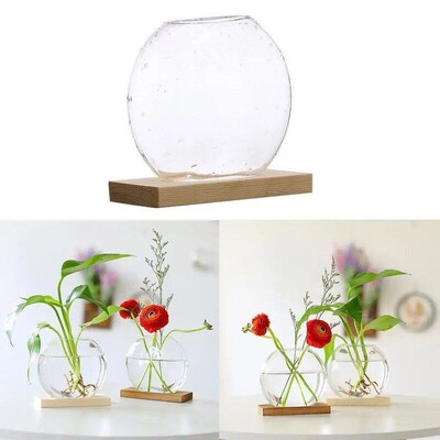 Mini Hydroponic Plants Vase Home Decorative Planter for Tabl