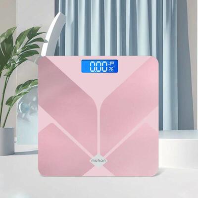 PinkDigitalBhroomSce