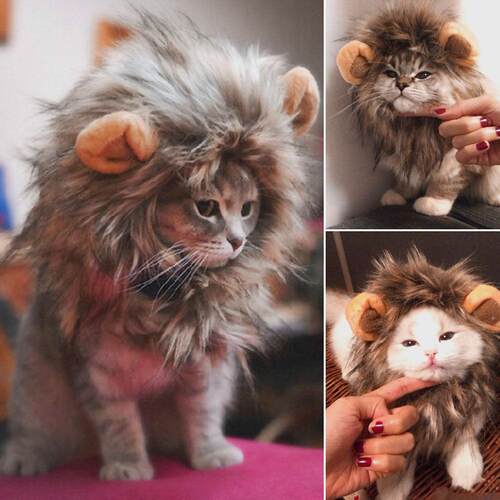 Funny Cute Pet Cat Costume Lion Mane Wig Cap Hat For Cat Dog
