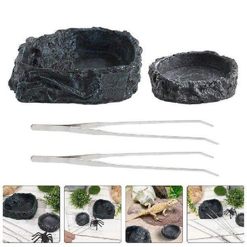 Bearded Dragon Food Bowl Leopard Gecko Water Dish Reptile