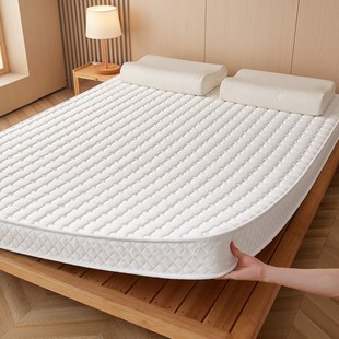肥子妈202新款乳胶记忆棉立体加厚加高床垫宿舍家用护脊柱床垫