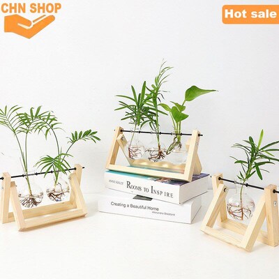 Plant Terrarium with Wooden Stand Vintage desktop decoration