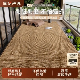 仿剑麻阳台地垫客厅地毯防潮防猫爪飘窗垫子可裁剪免洗大面积全铺