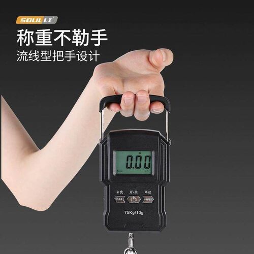 High-Precision Portable Digital Scale, Small Parcel Scale, P