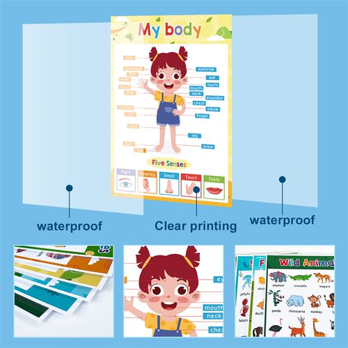 Lachilly 20 Themes Learning English A4 Poster for Kids Fruit