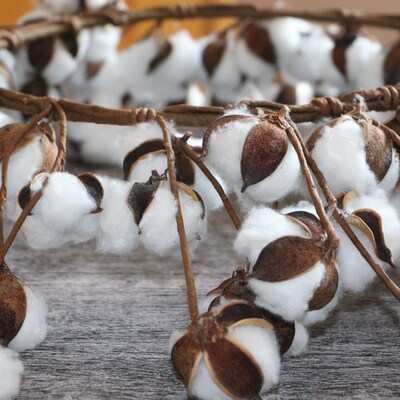 Recommended 80 Cotton Garlands In Stock, Cotton Dried Flower