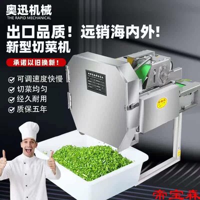 T multi-futional vegetable cutting machine commercial automa