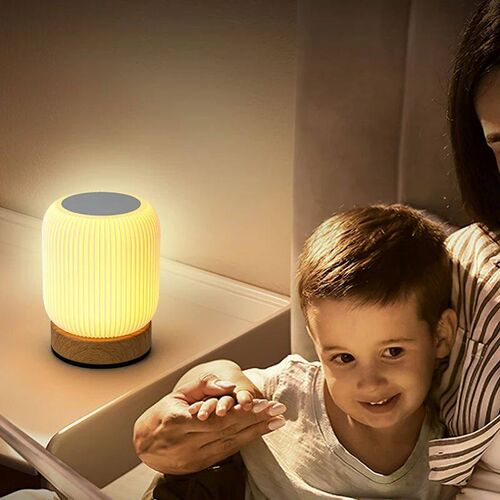 Night Light Touch Lamp for Bedrooms Living Room Portable Dim