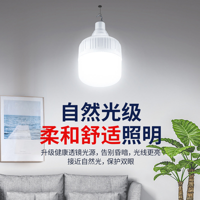 Solar Light Bulb Outdoor Portable Solar Powered Pendant Lamp