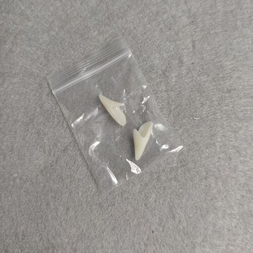 Halloween vampire dentures, zombie dentures万圣节吸血鬼假牙
