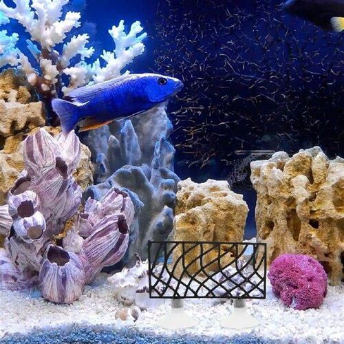 Fish Tank Betta Bed Decor Unique ABS Tunnel Resting Hideout