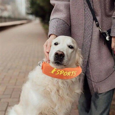 Retractable Dog Leashes Retractable Dog Collar Adjustable