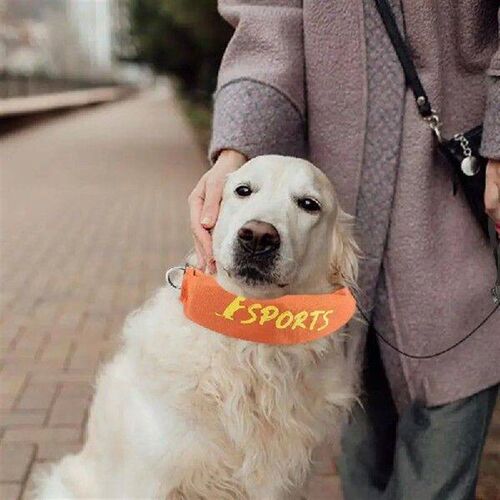 Retractable Dog Leashes Retractable Dog Collar Adjustable