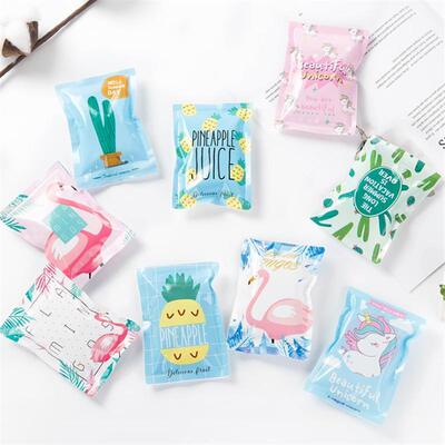 Portable Reusable Cooling Ice Pack for Fresh Food Preservati