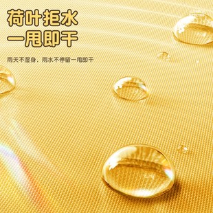 雨宝儿童雨伞学生上学专用男孩女孩小学生轻便全自动手动大童折叠