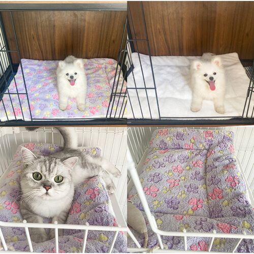M-XXL Plush Dog Cat Mat Dog Bed Thickened Soft Wool Mat Blan