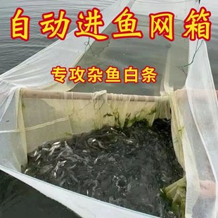 自动进鱼网箱白条餐条水库小杂鱼专用草鱼苗鱼苗泥鳅专用新款
