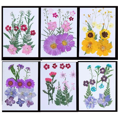 Dried Flower Baffle  Material Bag Face Embossed Photo Leaf P