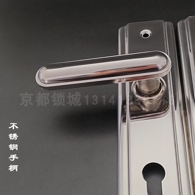 DL大连泰祥龙甲防盗门把手 孔距227mm 十齿轮不锈钢多功能拉手