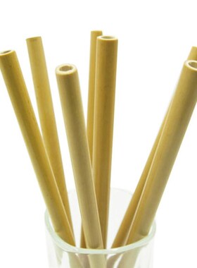 10 Pcs Natural Bamboo Straws Environmentally Friendly Bamboo