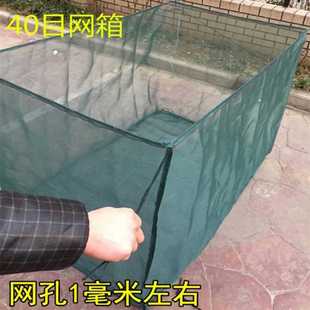 网箱养殖网专用 目网片加厚养黄鳝泥鳅鳝鱼养殖网 养鱼网箱