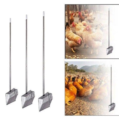 Chicken Coop Cleaning Tool Multifunctional Comfortable